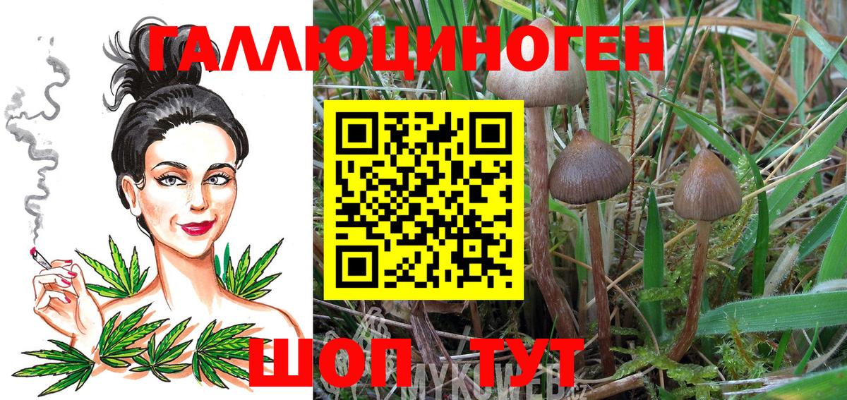 Галлюциногенные грибы Cubensis  закладка  Псилоцибиновые грибы прущие грибы  Дзержинский  Вход с VPN 